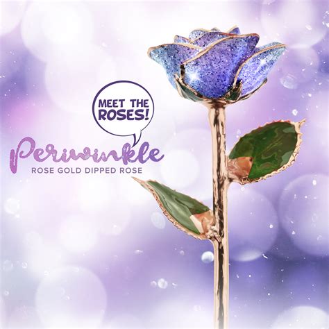 NEW Periwinkle Rose Gold Rose – Steven Singer Jewelers