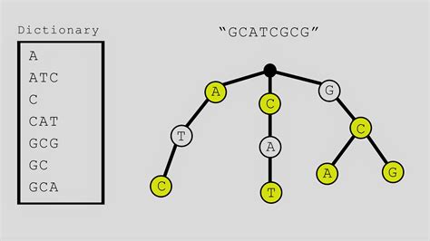 Aho Algorithm 的图像结果