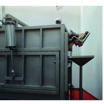 Slaughter Process 的图像结果