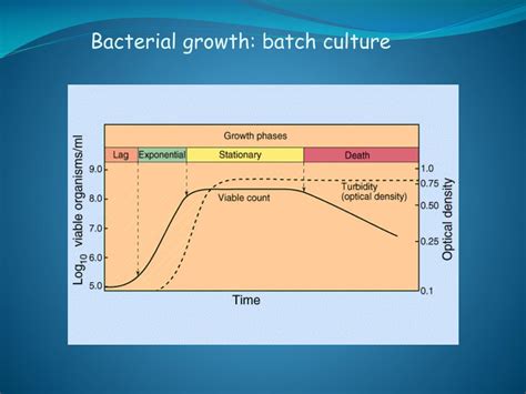Image result for Reaction Engineering Explained