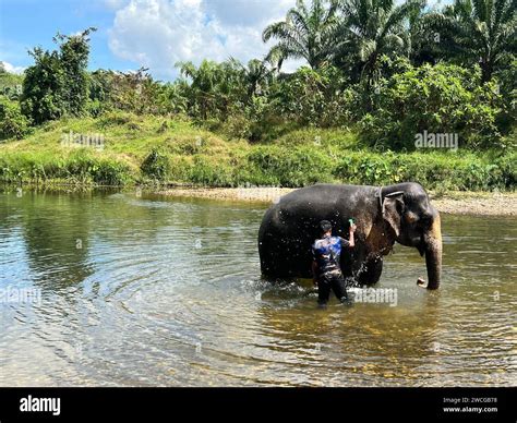 Khao Sok Nationalpark, Thailand. 04th Feb, 2023. PHOTOS PAN KORR TUESDAY ON ASIAN DIPLOMACY - An ...