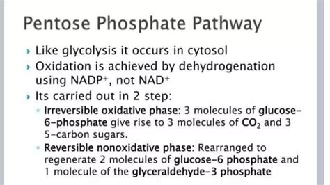Pentose-phosphate-pathway (3).pptx