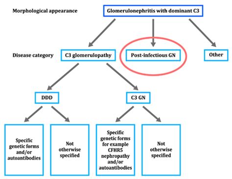Nephritis-Associated Plasmin Receptor (NAPlr): An Essential Inducer of ...