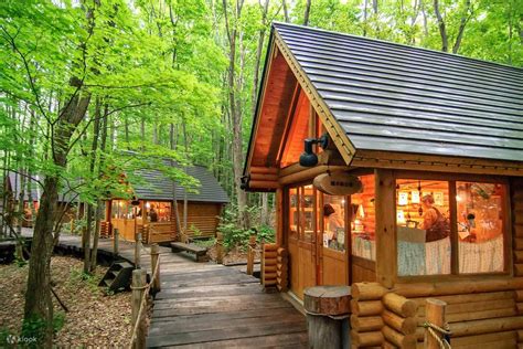 Biei Blue Pond & Furano Flower Day Tour｜Buffet + Melon Feast - Klook India