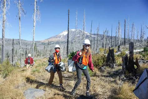 Two men on the search for 'Bigfoot' found dead in Washington’s Gifford ...