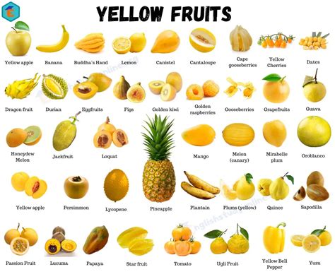 Image result for Fruit Example