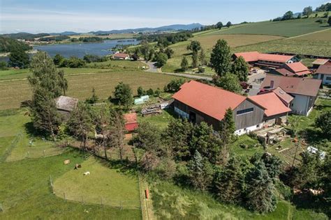 Einberghof GbR - Furth im Wald | Tripadvisor