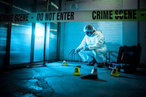 Image result for Forensics Parallel Search Pattern