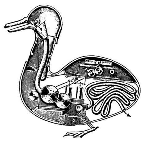 Image result for Digesting Duck