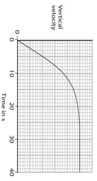 (b) The graph shows the vertical velocity of the skydiver during the ...