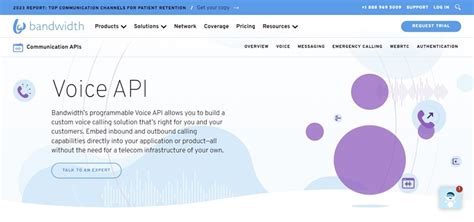 Image result for API Voiceforge
