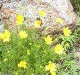 Homeschool - Geography - States