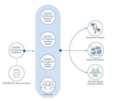 Image result for CLC Main Workbench Reviews