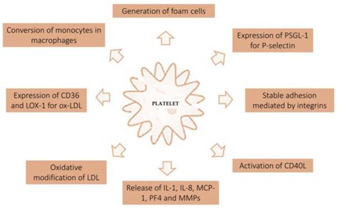 The Effects of Statins, Ezetimibe, PCSK9-Inhibitors, Inclisiran, and ...