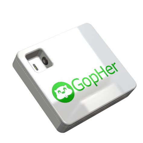 Image result for Gopher Probe