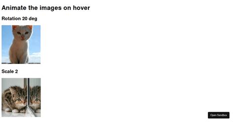 CSS Programming Guruji Transfrom 的图像结果