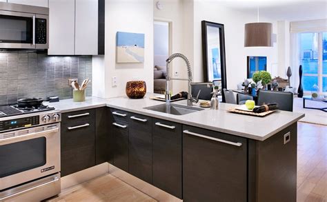 Alton Leo 615 Pull-Out Sprayer and Double Handle with Double 360 Swivel ...