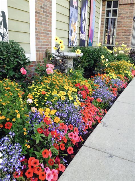 Our favorite flower bed ideas for full sun – Artofit
