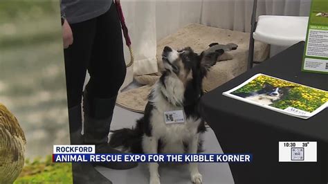 Pedestrian killed in overnight accident in Rockford