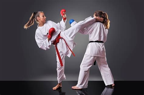 Image result for Karate Framework Java