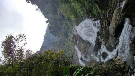 Aralam wildlife sanctuary (Kannur) - What to Know Before You Go (with ...