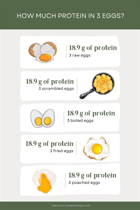Protein in 3 Eggs (whole, scrambled, boiled, fried, poached)