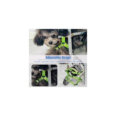 Aiwenlei 4 Wheels Dog Wheelchair for Leg Full Support, India | Ubuy
