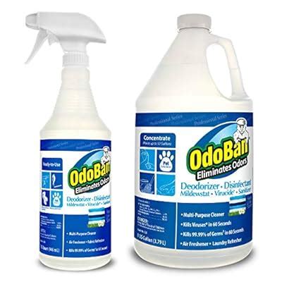 Buy OdoBan Professional Cleaning Odor Eliminator and Disinfectant ...
