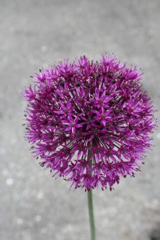 Image result for Creative Forms Build with HTML and CSS