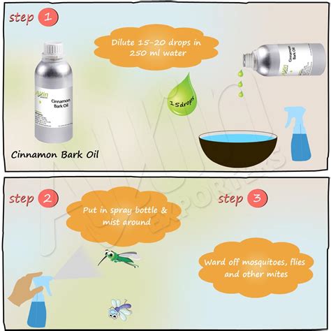 Purchase Cinnamon Bark Oil for Overall Good Health – allinexporters