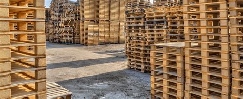 Image result for Hackberry Tree Uses