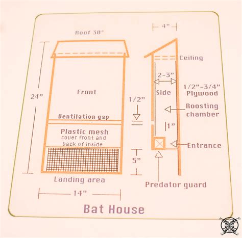 Bat Bird House Plans