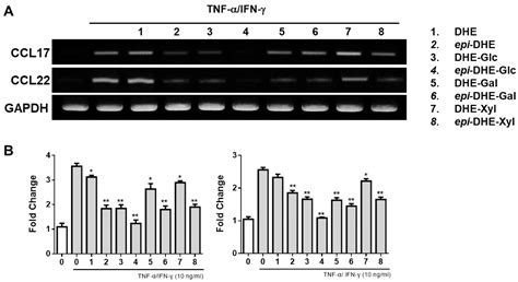 Comparative Study of the Effect of 5,6-Dihydroergosterol and 3-epi-5,6 ...