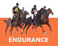 Horse Riding | School | Bangalore | Hyderabad | Pune | India