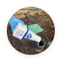 How to Use RootX 的图像结果