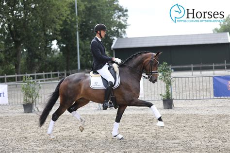 Nicky Snijder debuteert met dubbele zege: 'L'Unique pakt alles heel makkelijk op' - Horses