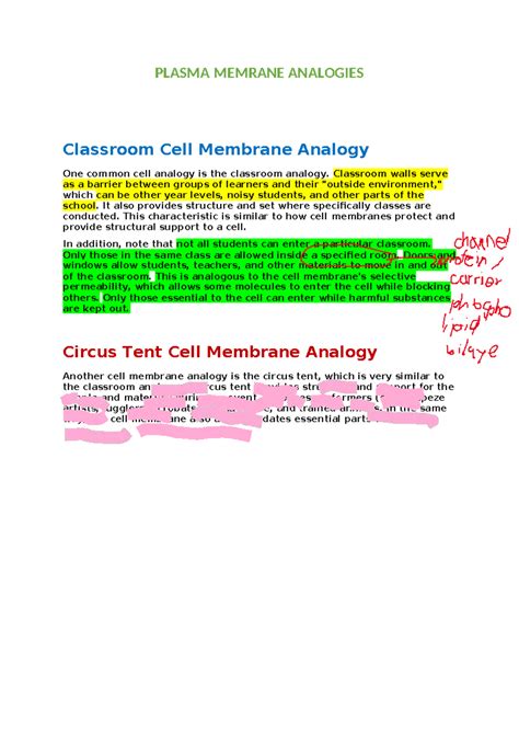 PLASMA MEMBRANE ANALOGIES: Classroom & Circus Tent Comparisons - Studocu