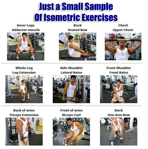 Image result for Isometric Back Exercises