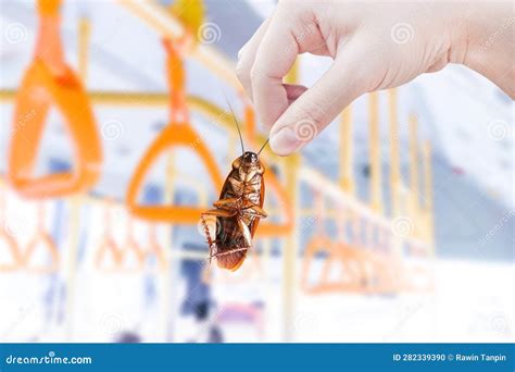 Inside a Cockroach 的图像结果