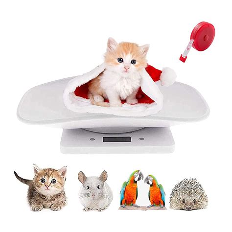 LFGKeng Digital Pet Scale, Small Animal Scale with Tape India | Ubuy