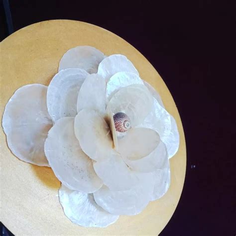 Image result for Capiz Shell Drawing