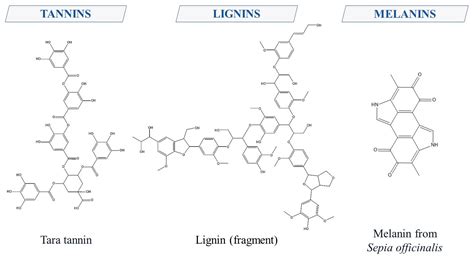 Polyphenols in Plants: Structure, Biosynthesis, Abiotic Stress ...