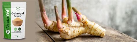 Buy NeutraVed Kulanjan Powder, Best A Grade Galangal Root, 100g Online ...