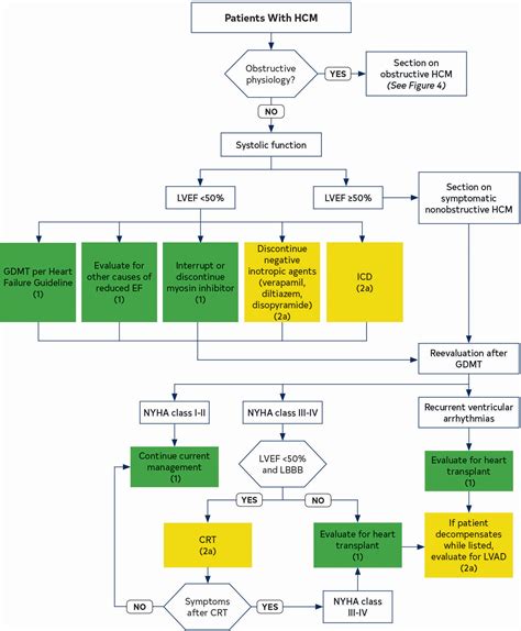 2024 AHA/ACC/AMSSM/HRS/PACES/SCMR Guideline for the Management of ...