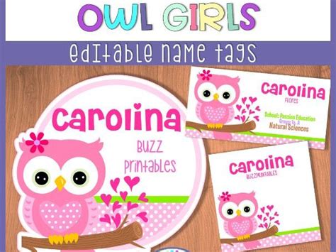 Editable Name Tags or Labels - Owl Girls Theme Classroom Decor ...