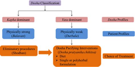 Medical Algorithm Examples 的图像结果