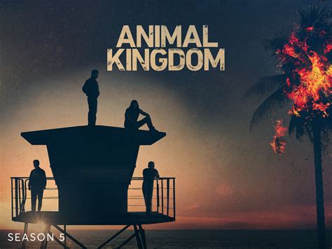 Prime Video: Animal Kingdom - Season 5