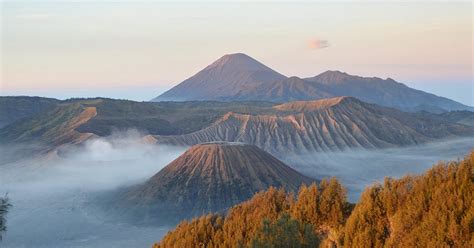 HEAVENLY JAVA (2025) All You Need to Know BEFORE You Go (with Photos ...