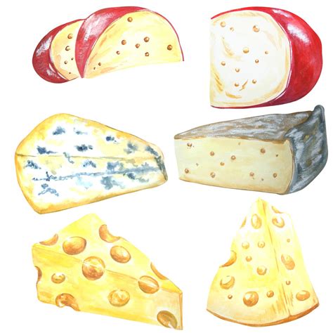 Premium Photo | Watercolor drawing of fresh natural cheese Set Isolated ...
