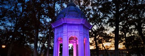 ECU Online Graduate Programs 的图像结果